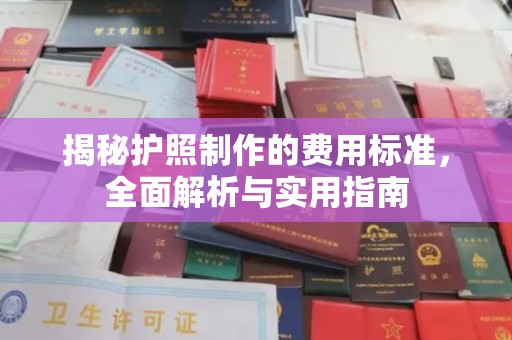 善化揭秘护照制作的费用标准，全面解析与实用指南